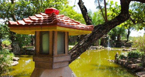 Imagem representativa: Jardim Japonês em Caldas Novas